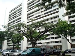 Blk 214 Lorong 8 Toa Payoh (Toa Payoh), HDB 4 Rooms #543508991